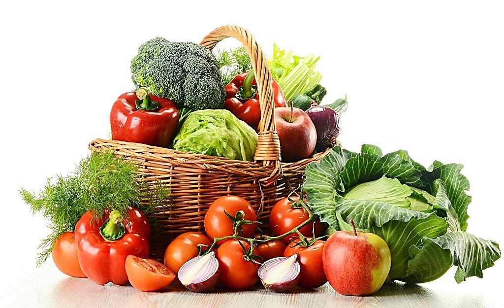 新鲜蔬菜<span style=