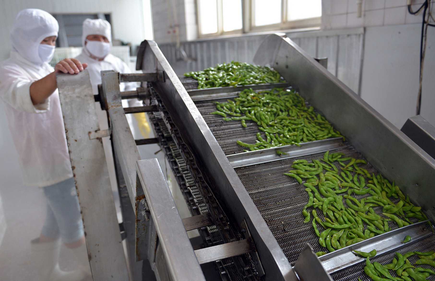 智能净菜包装机，引领健康生活潮流——揭秘高效包装新科技