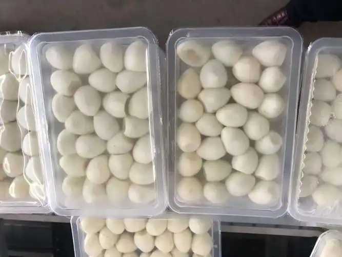 整线解决方案，优化生产流程：鹌鹑蛋包装神器来袭